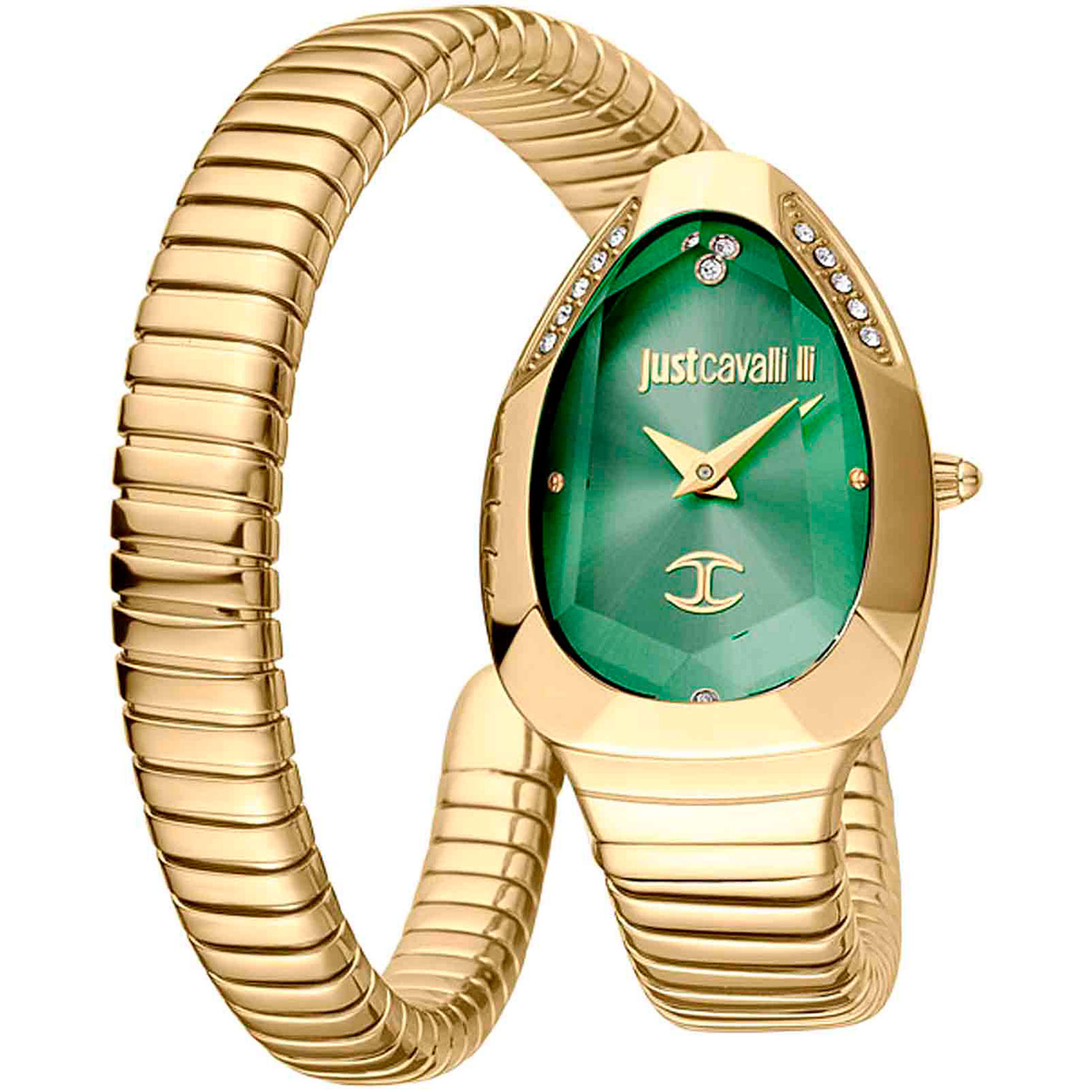 Часы Just Cavalli Snake JC1L208M0045